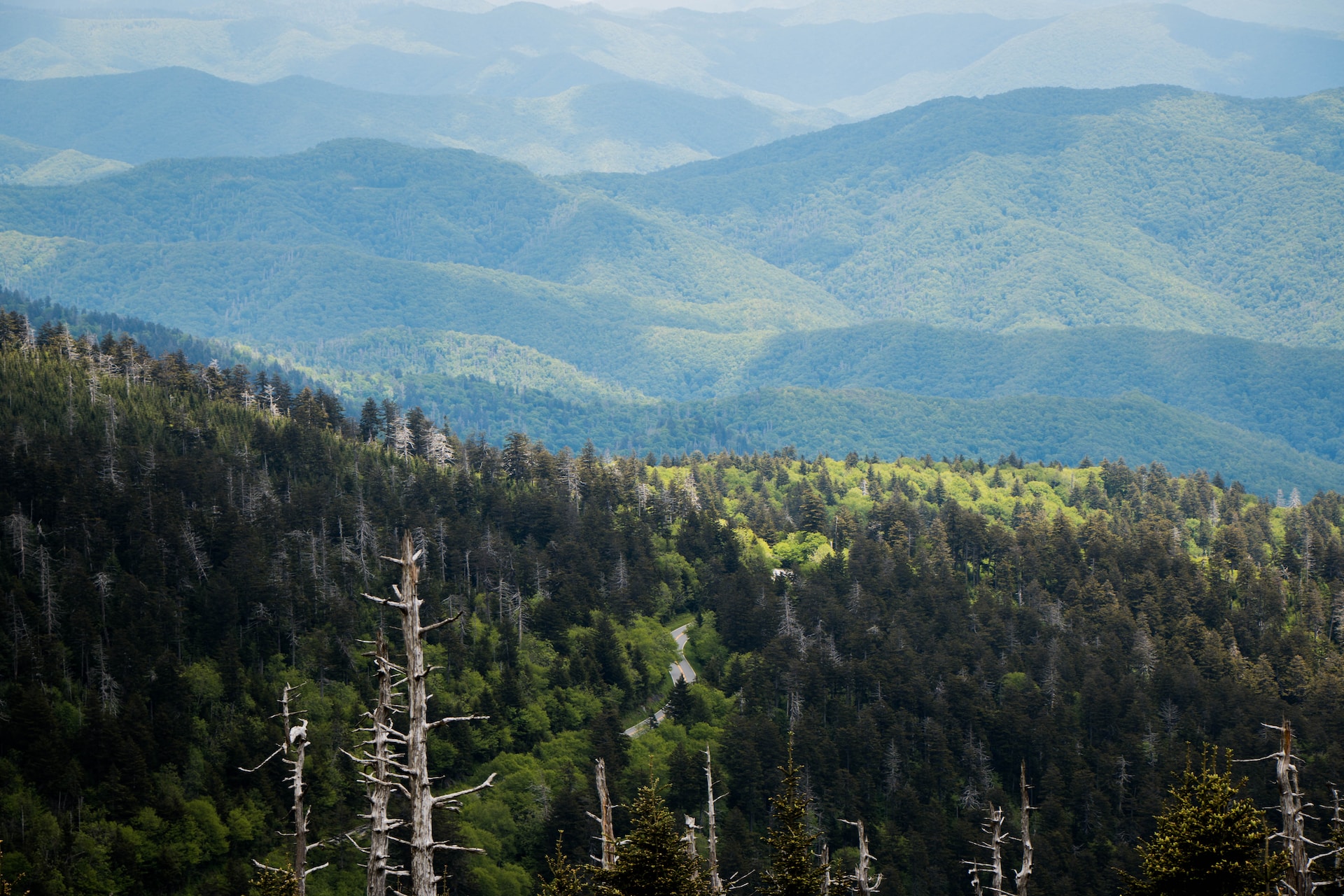 Great Smoky Mountains Park