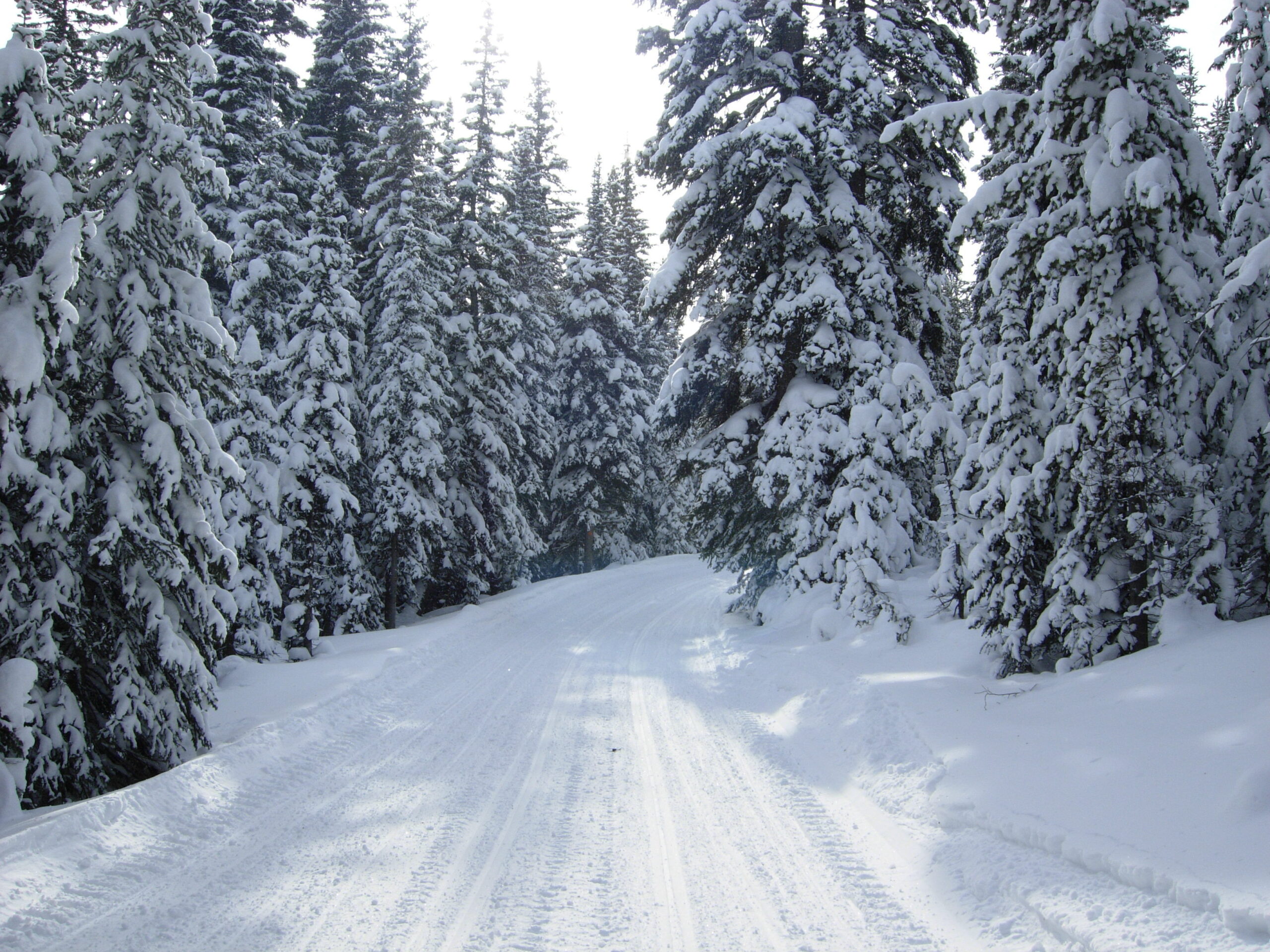 Snowfall Forecast for Eastern Idaho, Yellowstone, or Park City: Perfect for Your Next Adventure!
